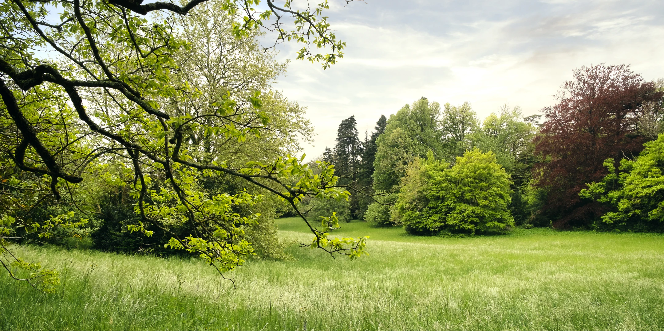 parc activites bg